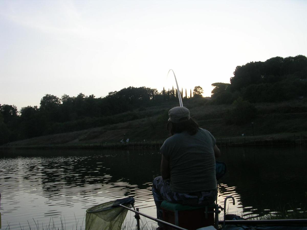 Da Simone Podere Santi Lucia E Pietro 锡耶纳 外观 照片